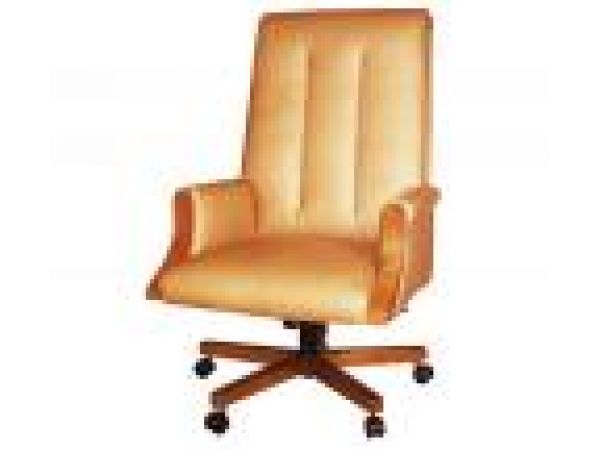 Desk Chairs 12-40059