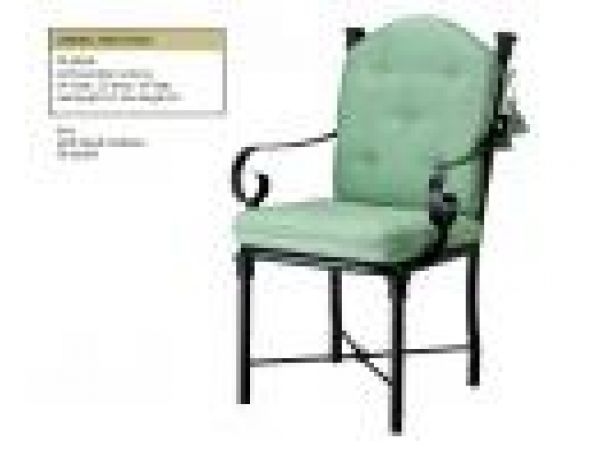 Dining Arm ChairTR 2030L
