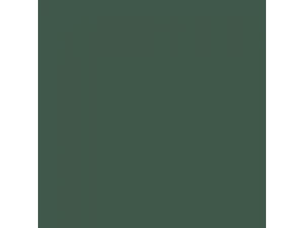 A481 Forest Green