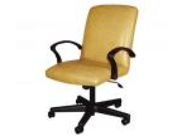 Desk Chairs 12-40022