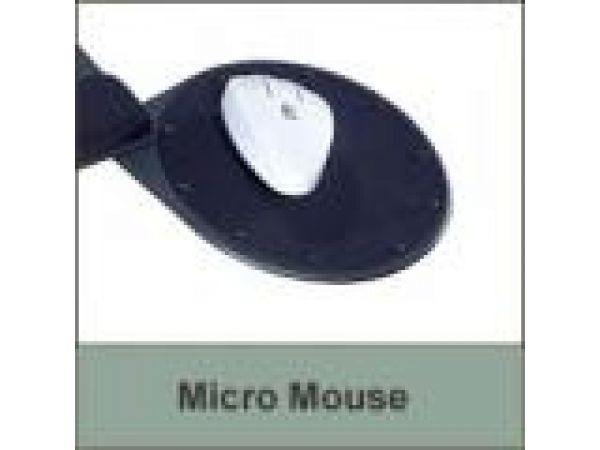 Micro Mouse Surface