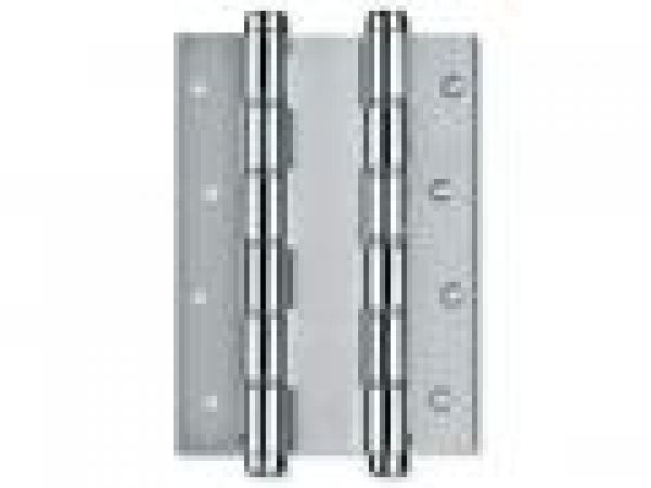 STAINLESS STEEL DOUBLE ACTION SPRING HINGE
