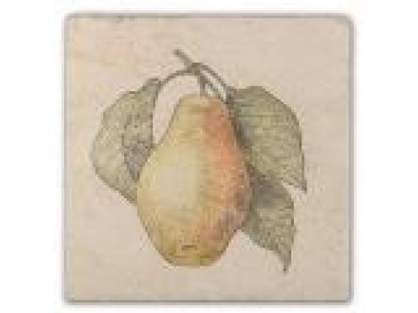 ACC600101 UPSTATE PEAR ACCENT