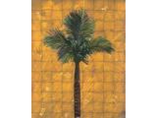 Amber Fiesta Palm
