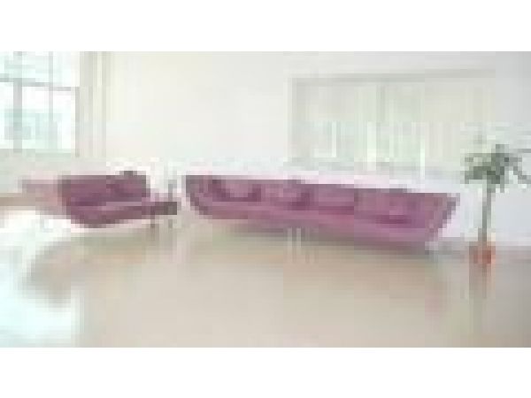 SL 263 Purple, Modern Leather Sofa Set