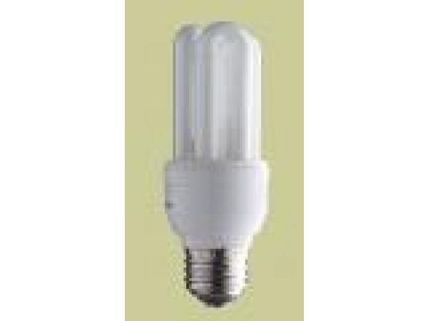 14 Watt Compact Fluorescent Bulb
