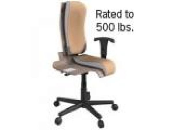 Big and Tall Ergonomic Chair (186)
