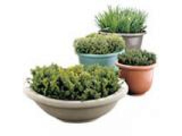 Galleria Planters and Receptacles