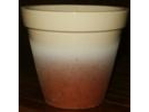 Cream Rim Glazed Pot