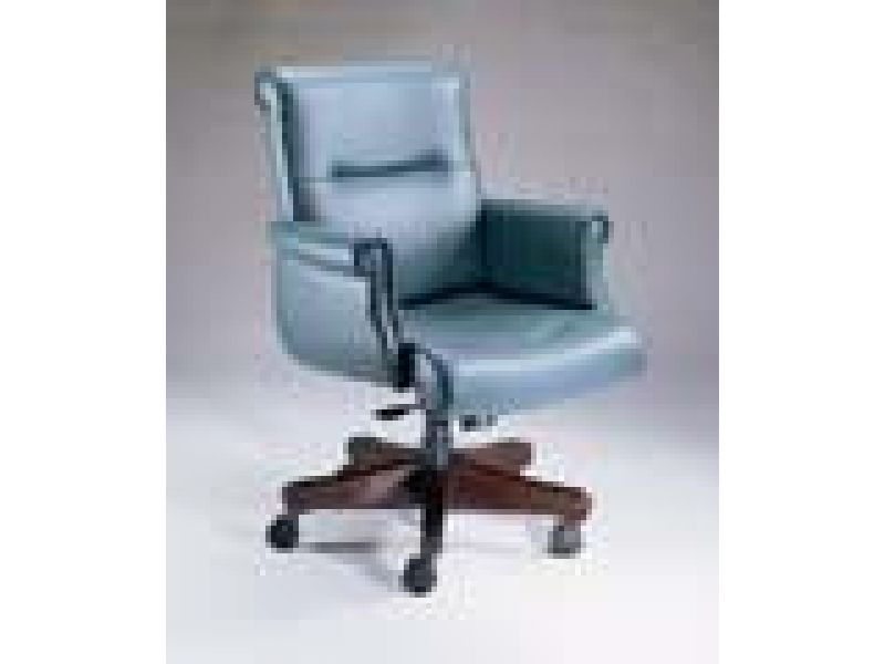 1703 Mid Back Ergonomic Chair
