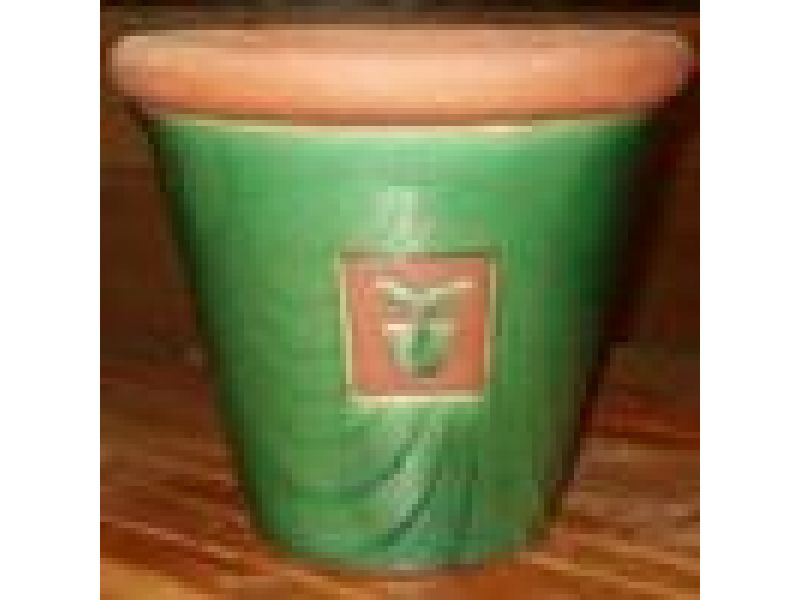 Green Glazed Terracotta Pot