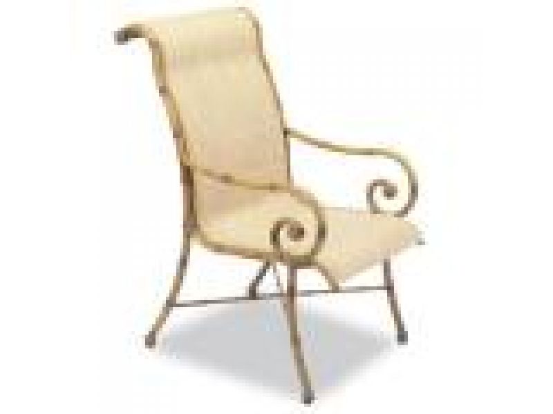Palisades Sling Arm Chair