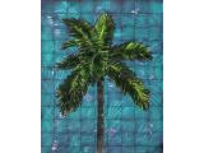 Turquoise Fiesta Palm