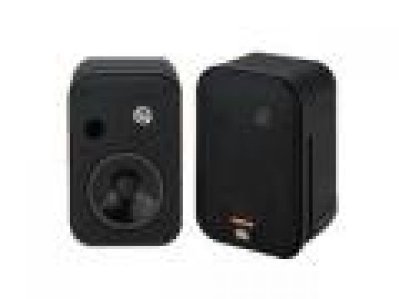 CONTROL ONE 2-Way, 4-Inch (100mm), Personal-Size Monitor Loudspeaker