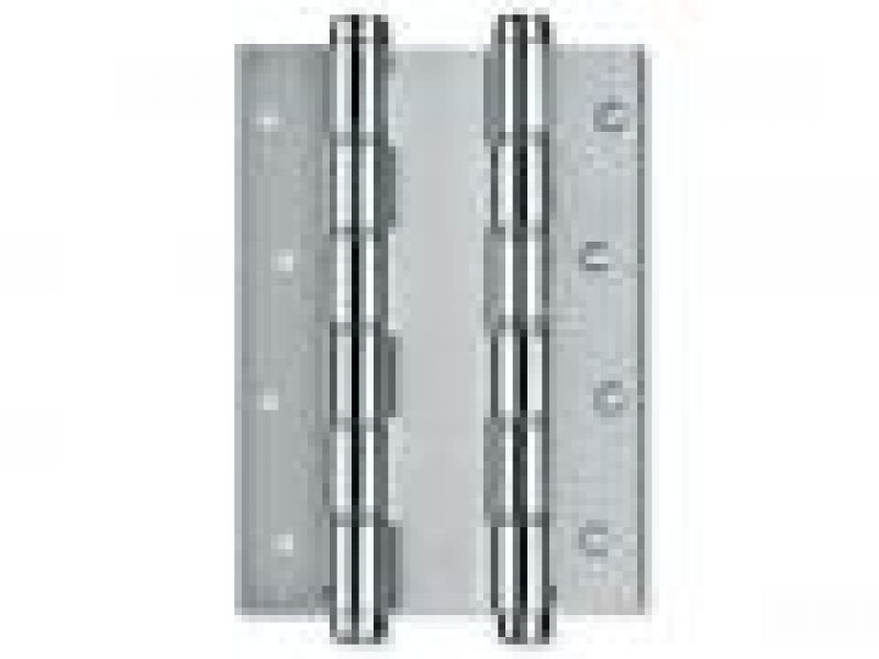 STAINLESS STEEL DOUBLE ACTION SPRING HINGE
