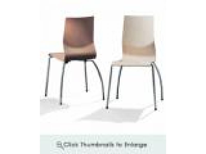 Nina Chair (Set of 4 Curved wood Chairs)