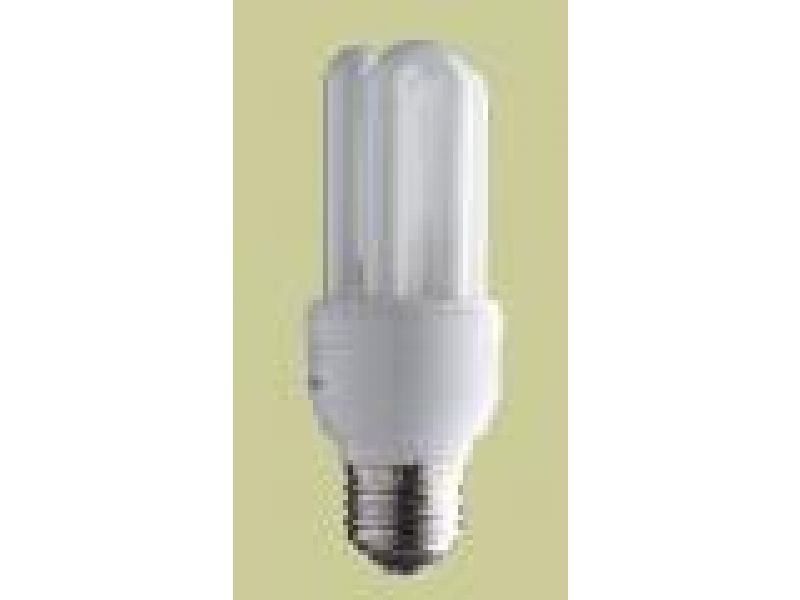 14 Watt Compact Fluorescent Bulb