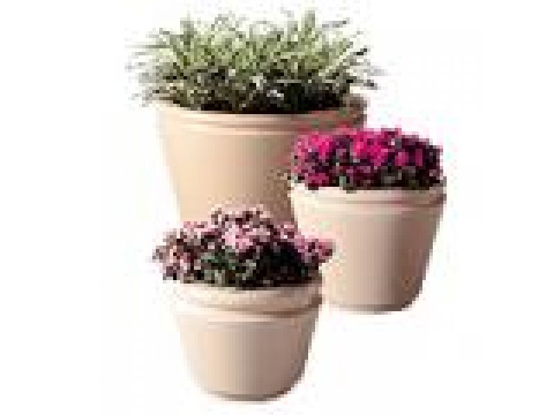 Tuscon Planter and Receptacles