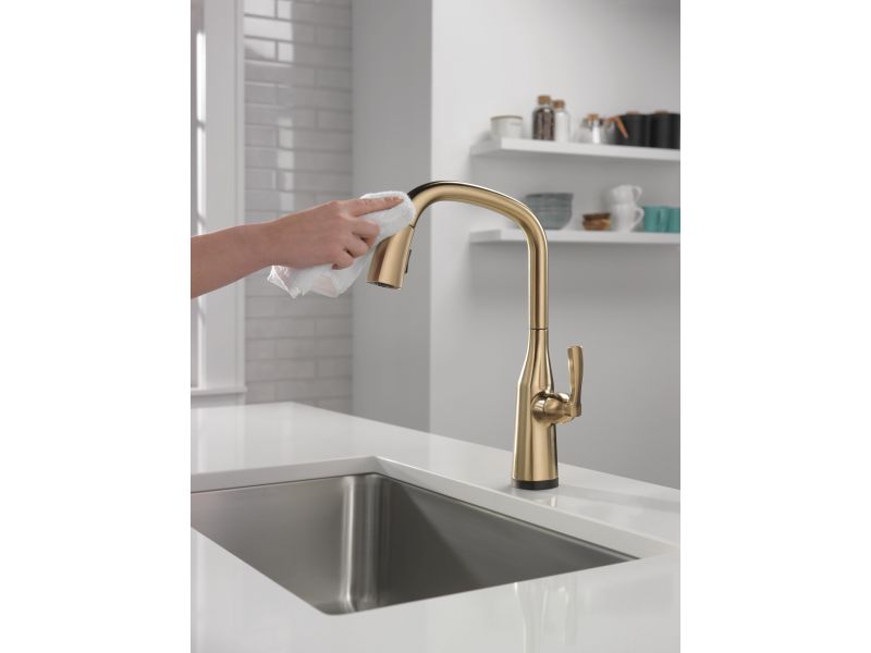 Delta Faucet Stryke® Kitchen Collection