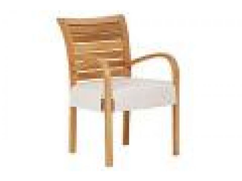 Dining Arm Chair with Seat Cushion