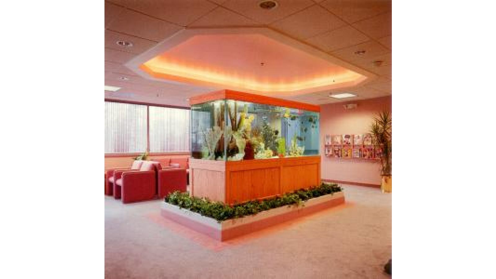 Medical Office Aquarium