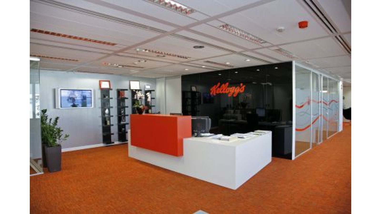 The Kellogg Spain Project seen by 3g office