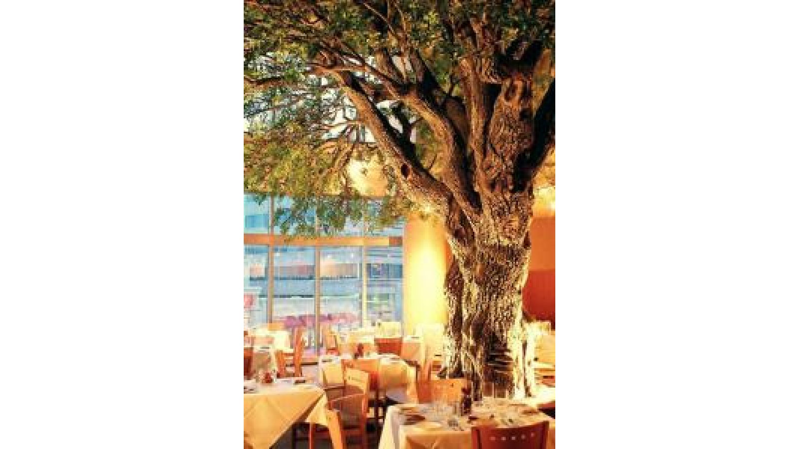 Oak Tree â€“ Restaurant