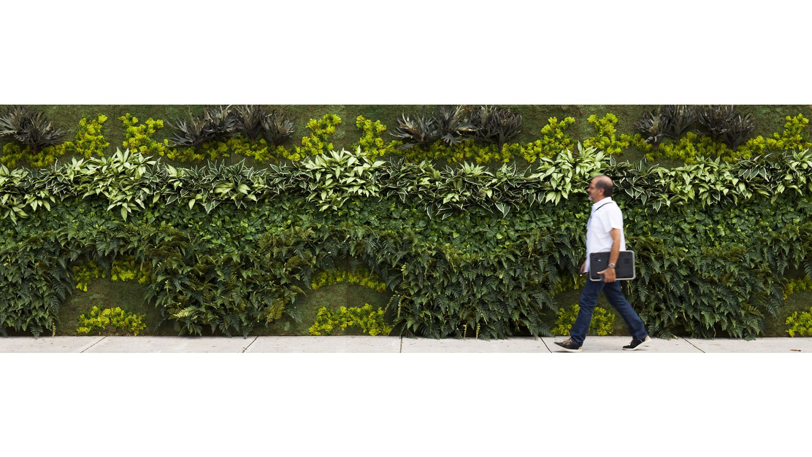 Artificial Tropical Green Wall