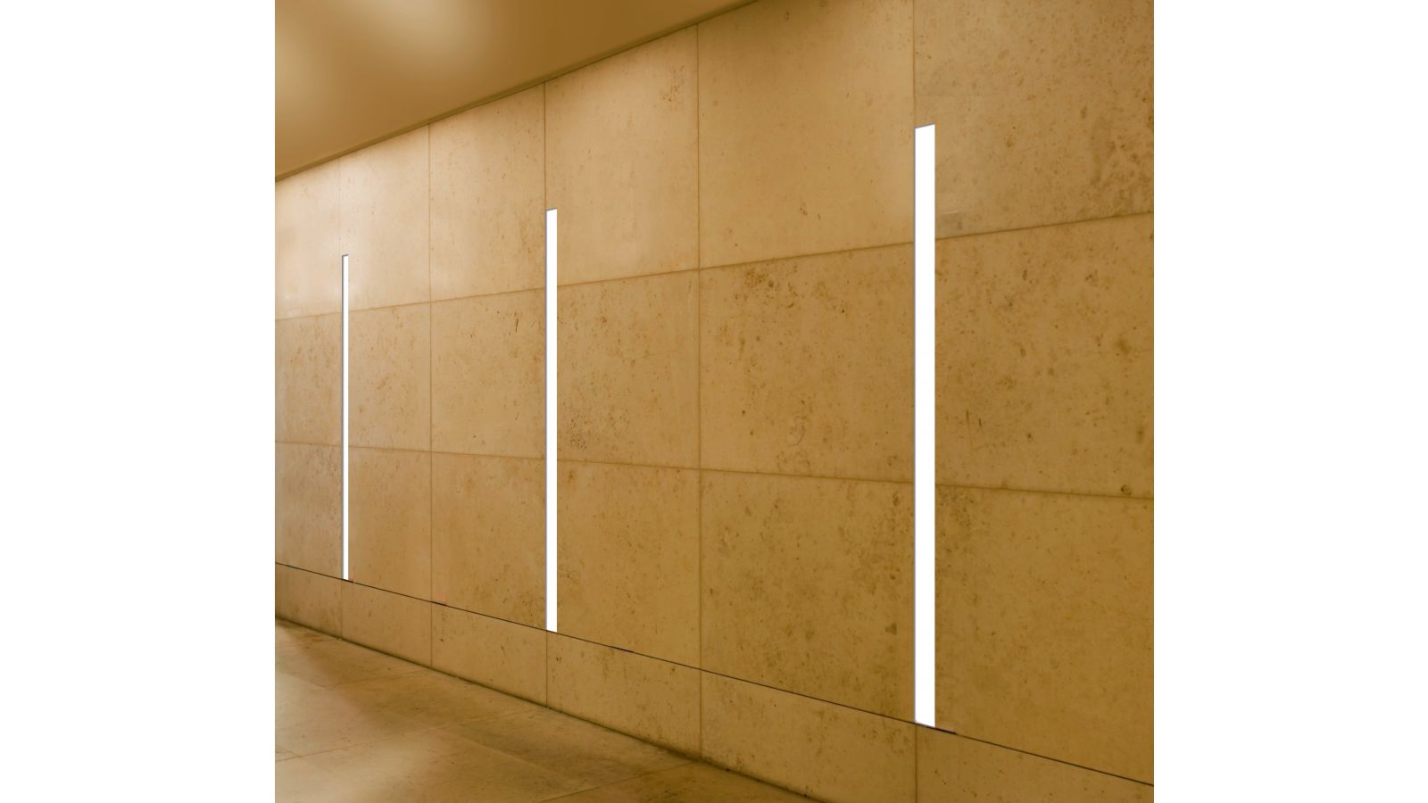 Neo-Ray Straight and Narrow 22 LED Vertical in Wall Mounting