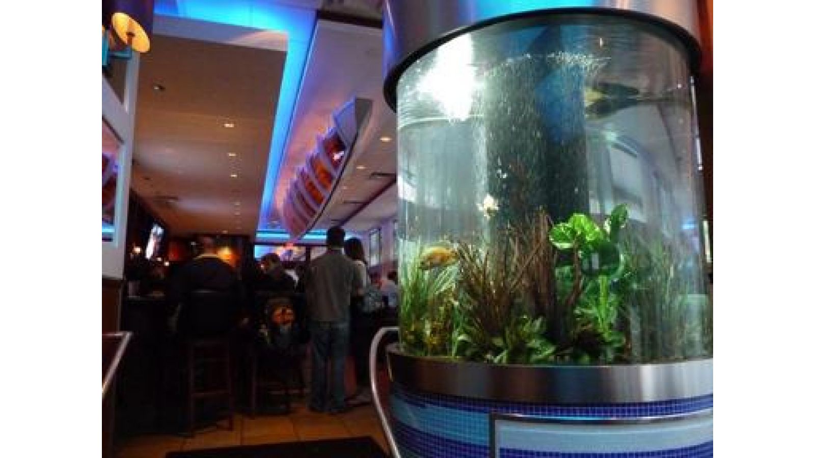 Seafood Restaurant Aquarium