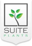 Suite Plants