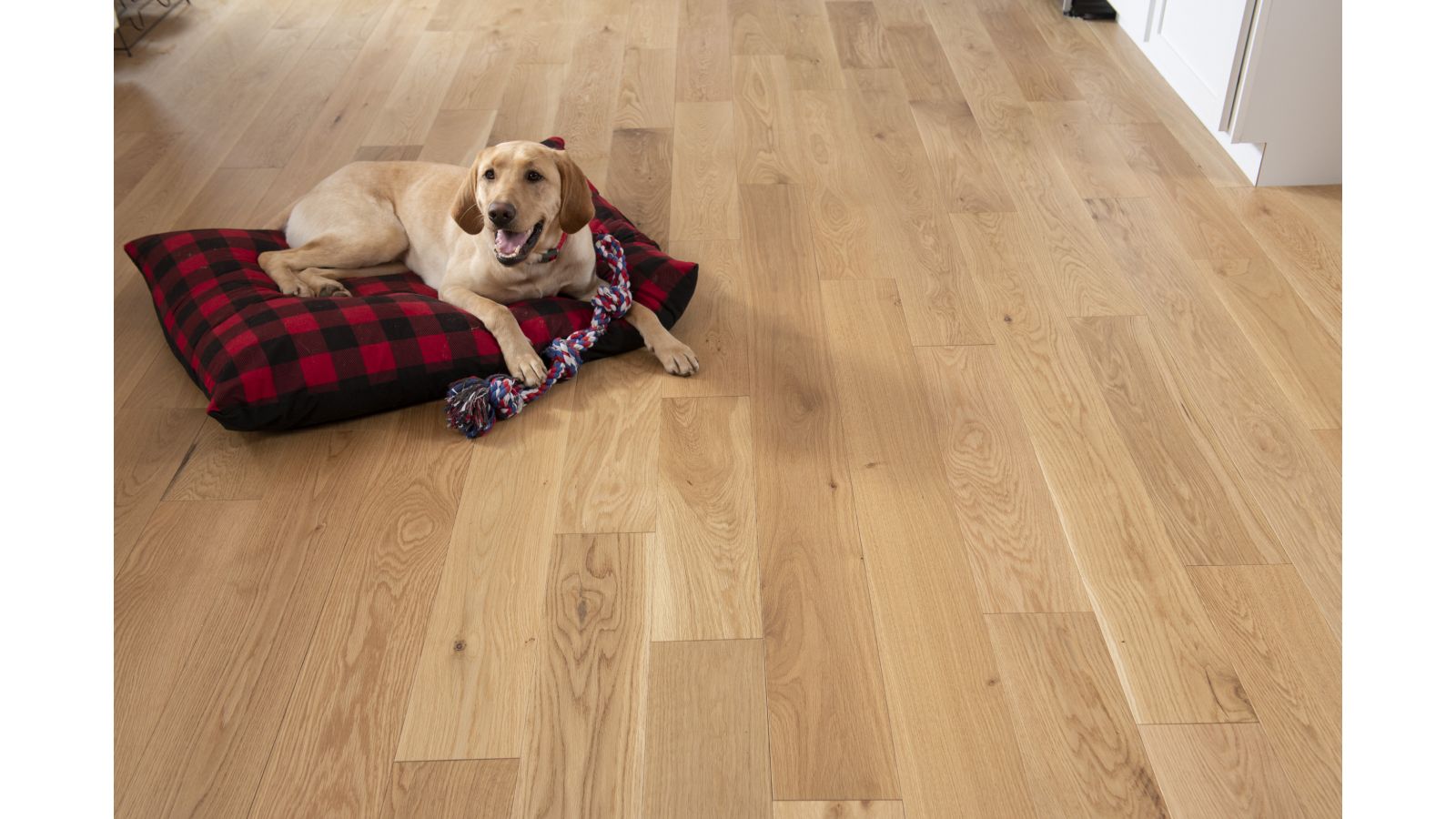 Dogwood™ Densified Wood Flooring