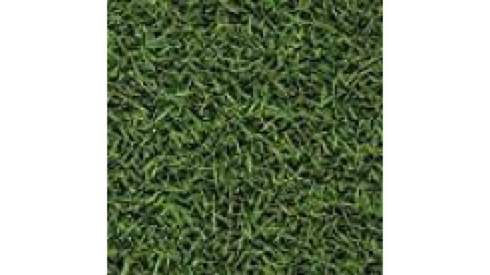 Grass GR11