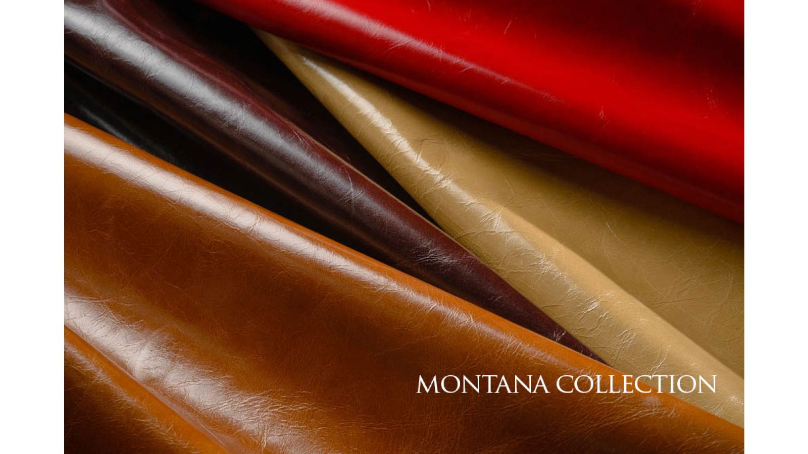 Montana Collection