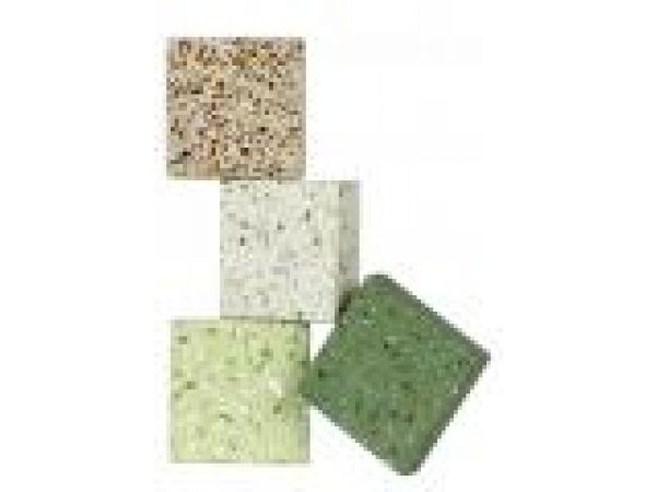 IceStone‚ Durable Surfaces