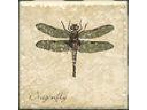 Dragonfly A
