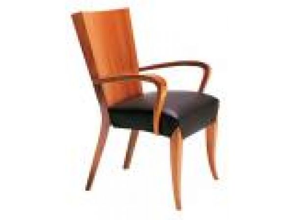 Aldabhra Arm Chair