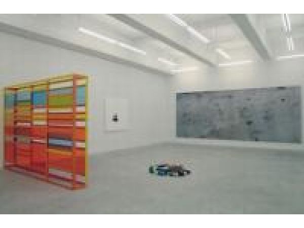 Casey Kaplan Gallery, NY