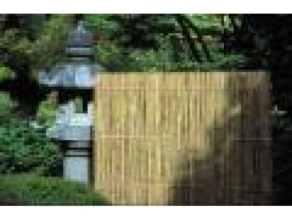Tam Vong Privacy Fence