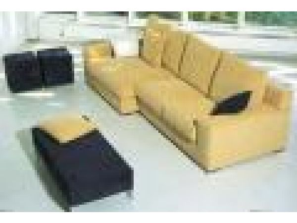 Roy Sectional Sofa