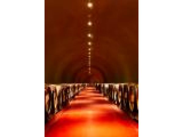 Vineyard 29 Straight Winecave