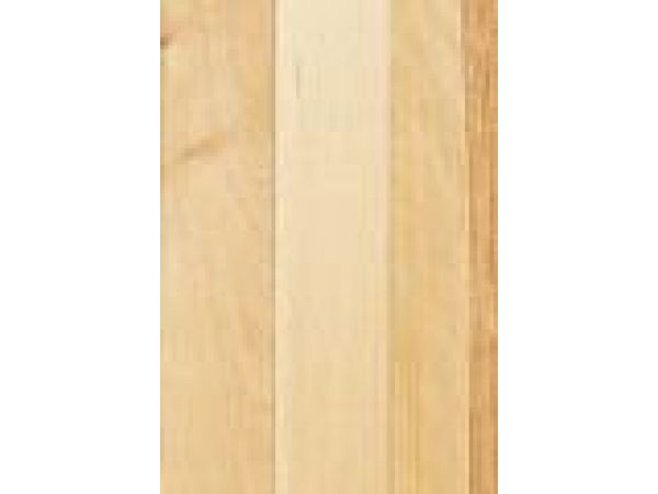 Solid Yellow Birch - Pacific