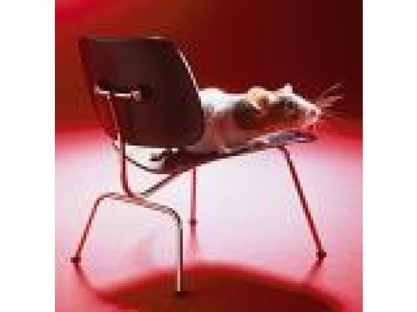 Vitra Miniature - Eames LCM Chair