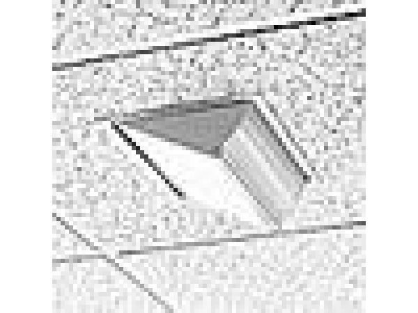 Wall - Compact Fluorescent - Large _F211