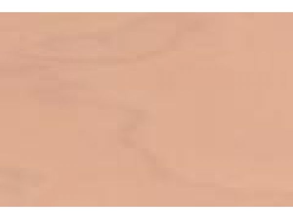 1051 -Blurred SalmonGreen