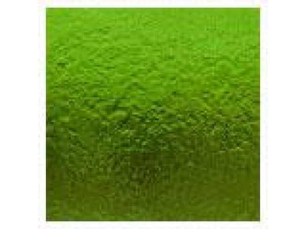 Lucent Colors -Lime