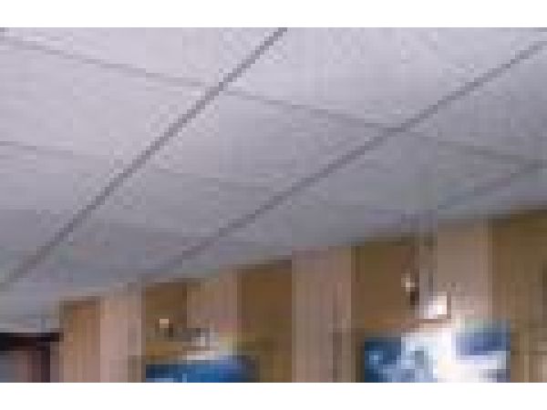 USG Ceilings Fresco ClimaPlus Acoustical Ceiling P
