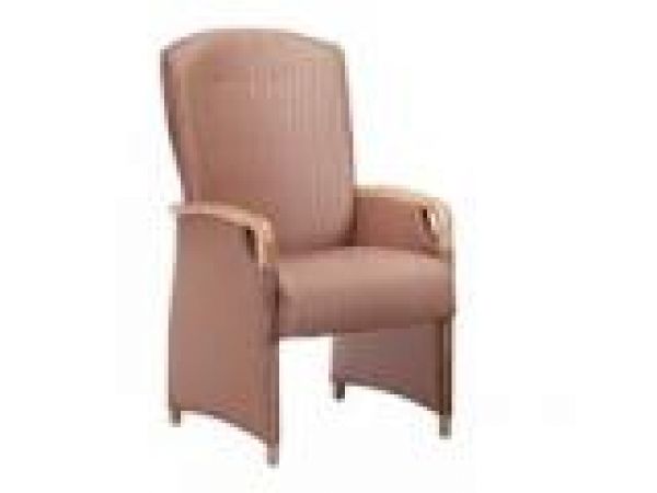 Flex Patient Chair