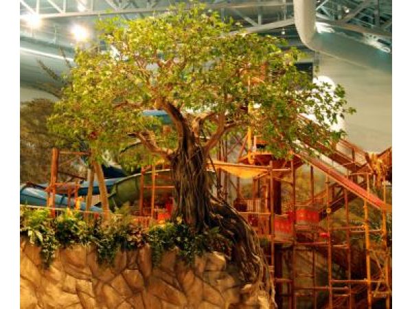 Banyan Tree - Aquatic Center