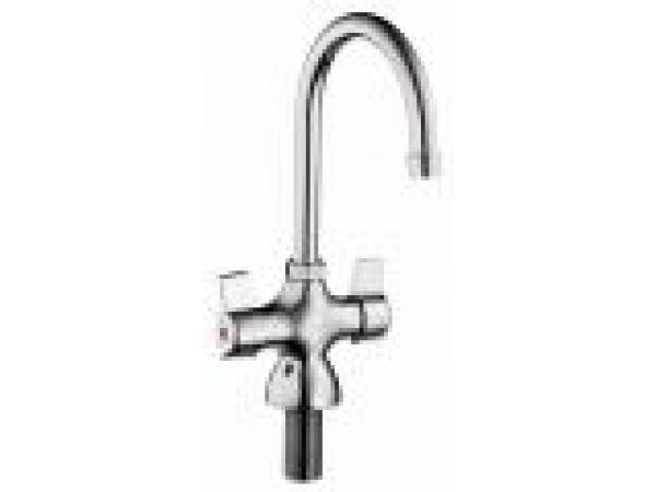 Two Handle Commercial Pantry Faucets with Goosenec